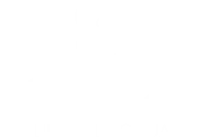 logo_FREEZZY_w